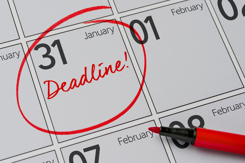 Calendar highlighting the 31 January, the ECER submission deadline.